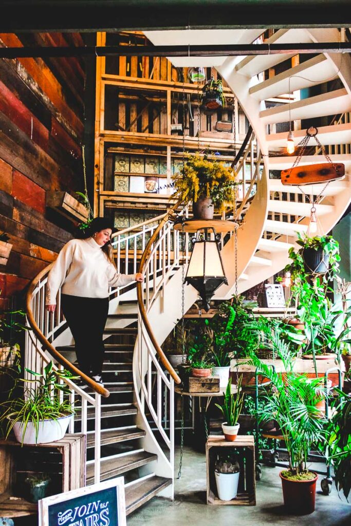 House of Small wander in Berlin