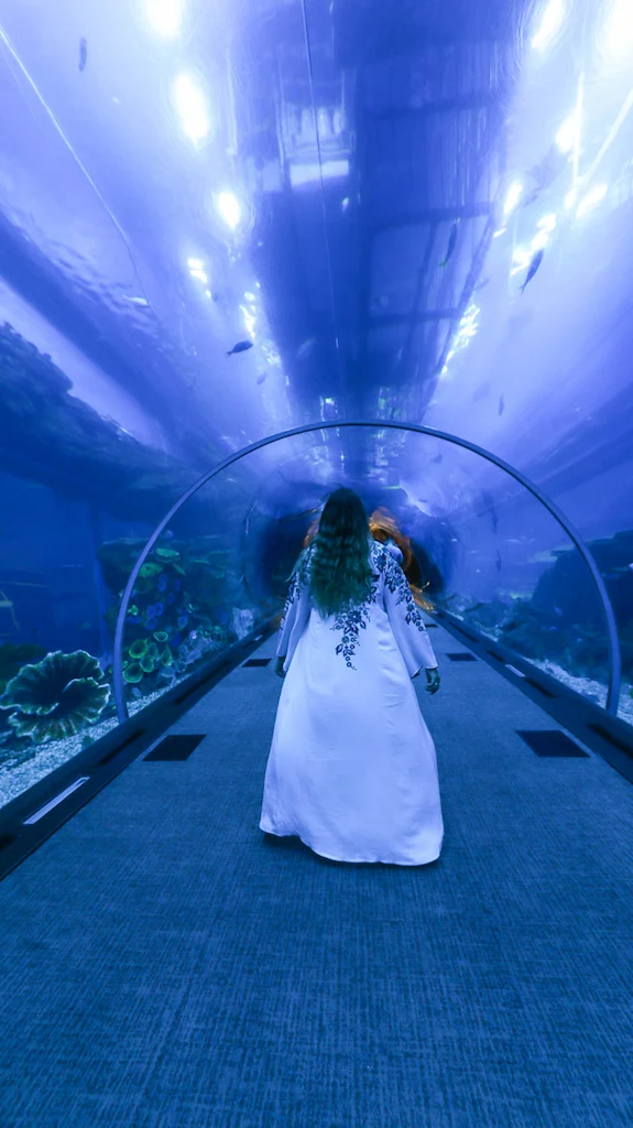 Dubai Mall Aquarium Famous tunnel Dubai Mall aquarium best photos inspiration
