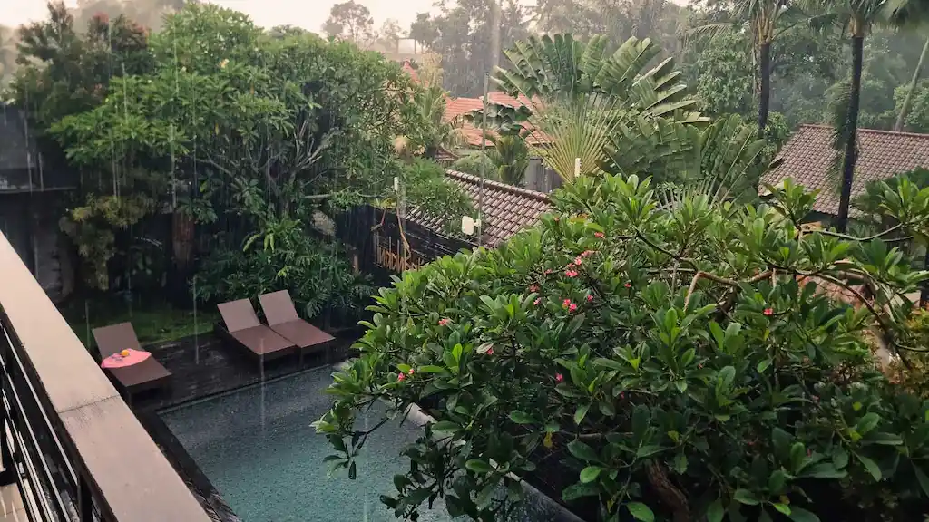 Bali during the wet season