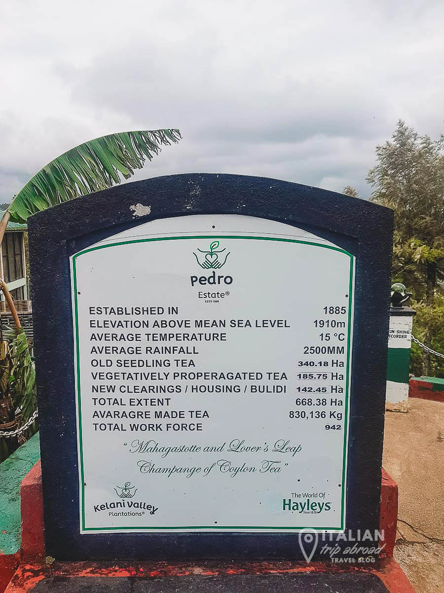 Pedro Estate in Nuwara Eliya | Passport and Stamps