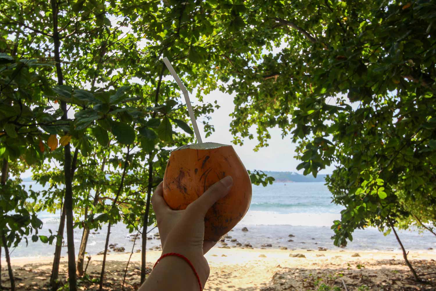 Fresh coconut in Galle - Ale drinking a coconut per day while in Sri Lanka