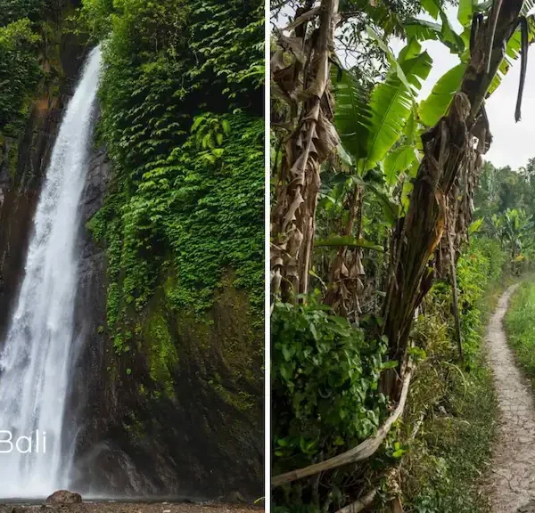 The best waterfalls in Bali are in the North in Munduk Area