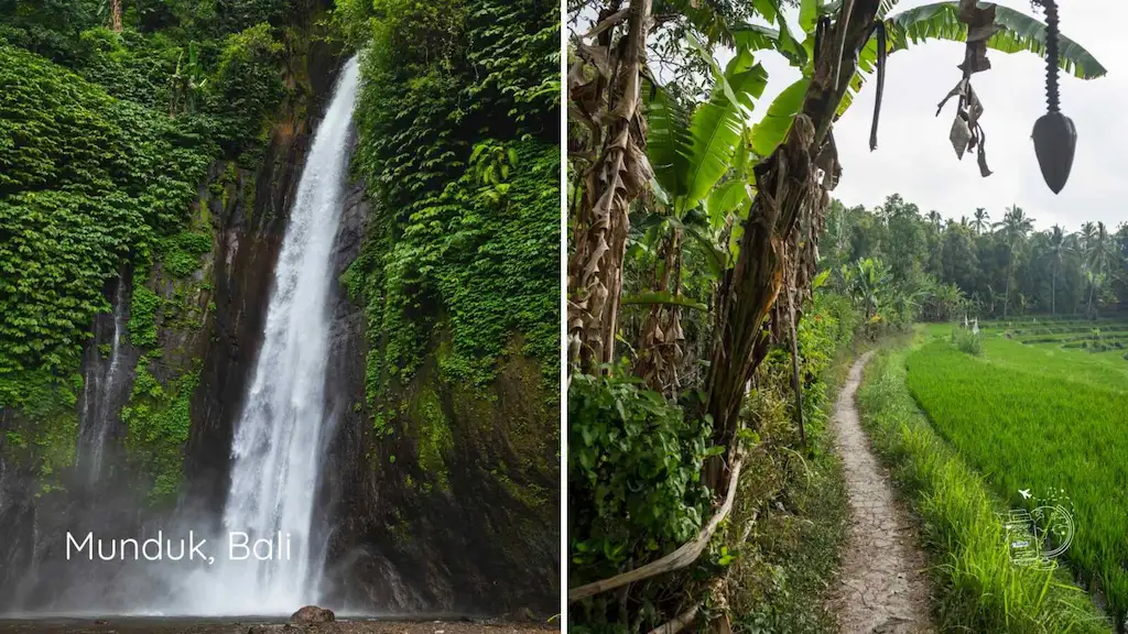 The best waterfalls in Bali are in the North in Munduk Area