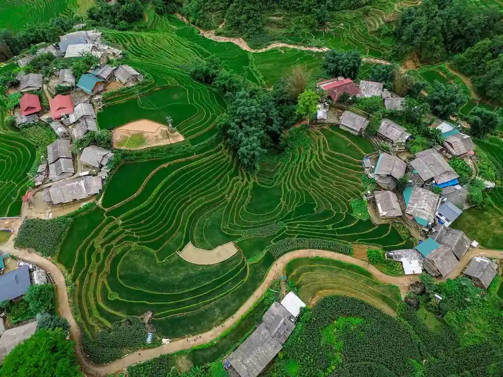 Ricefileds View in Sapa | Supan Ecolodge and Spa Review in Sapa | Best infinity pool in Sapa