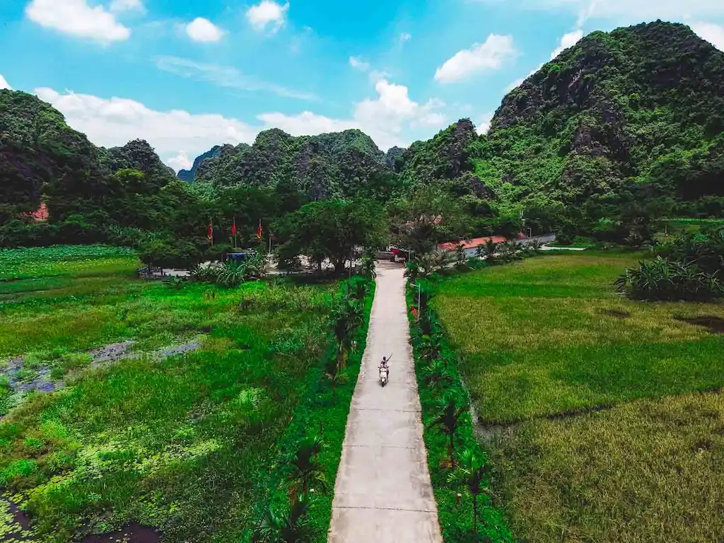 Ninh Binh Scooter through the ricefields of Tam Coc
