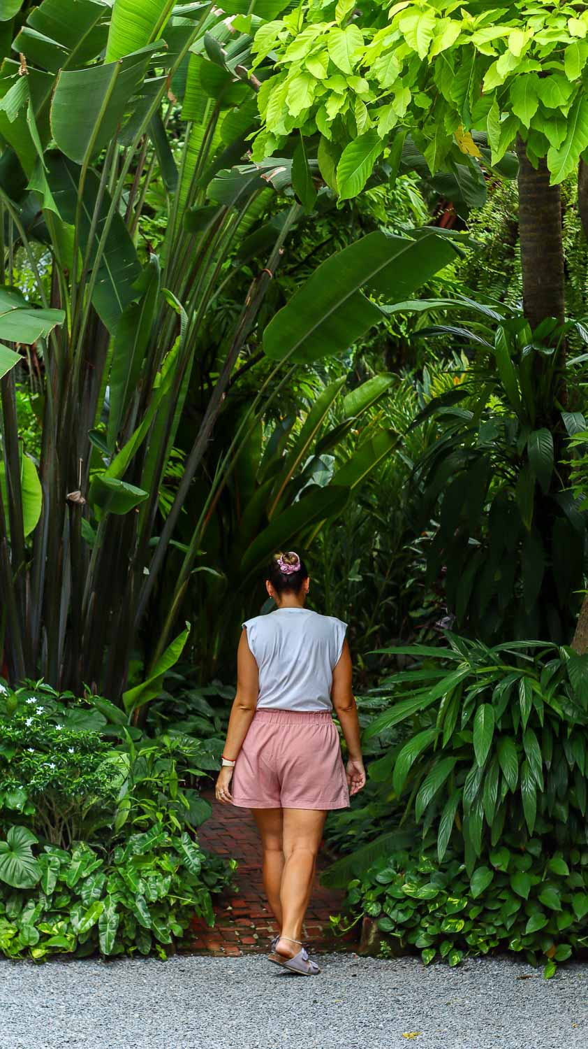 Bimba walking towords the garden outside Jim Thompson Bimba walking towards the garden outside Jim Thompson