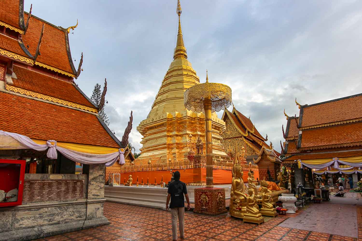 Doi Suthep golden pagoda Toti walking around the outisde area Doi Suthep golden pagoda - Toti walking around the outisde area