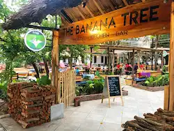 Banana Tree Hostel is one of the most popular in Ninh Binh