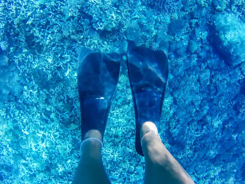 Snorkelling in Nusa Penia | Nusa Penida Day trip from Bali