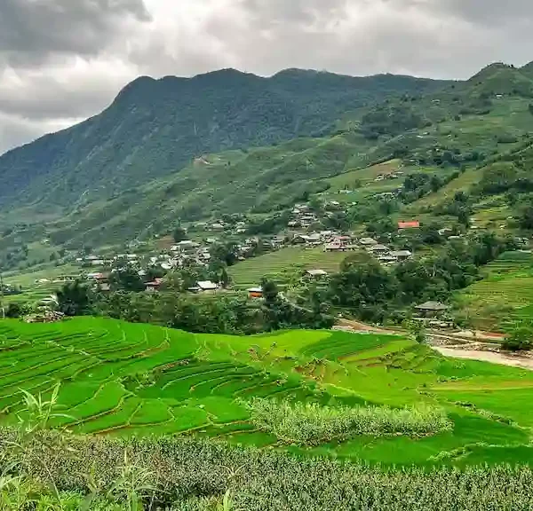 Mountain and rice paddies view in Sapa | North vs South Vietnam