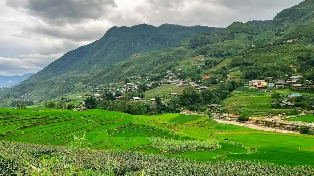 Mountain and rice paddies view in Sapa | North vs South Vietnam