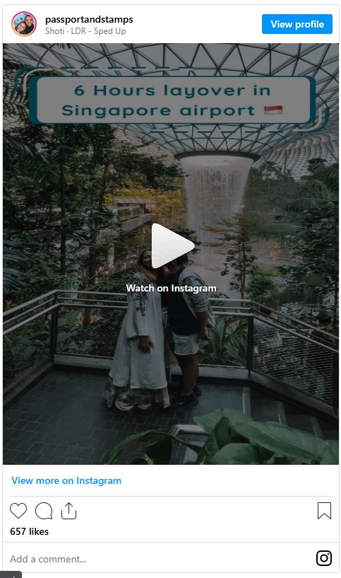 Singapore Chiangi Airport Layover Video Singapore Chiangi Airport layover Guide
