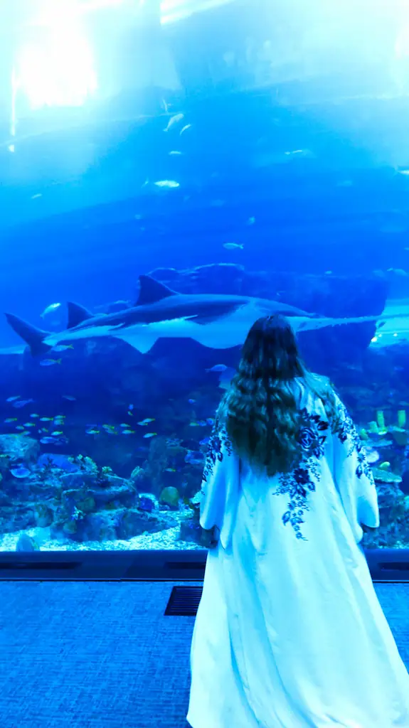 Bimba admiring the fishes inside the Aquarium Mall in Dubai - Dubai 3 days itinerary