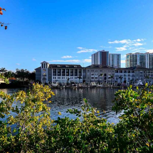 Amazing view of downtown Tampa bat