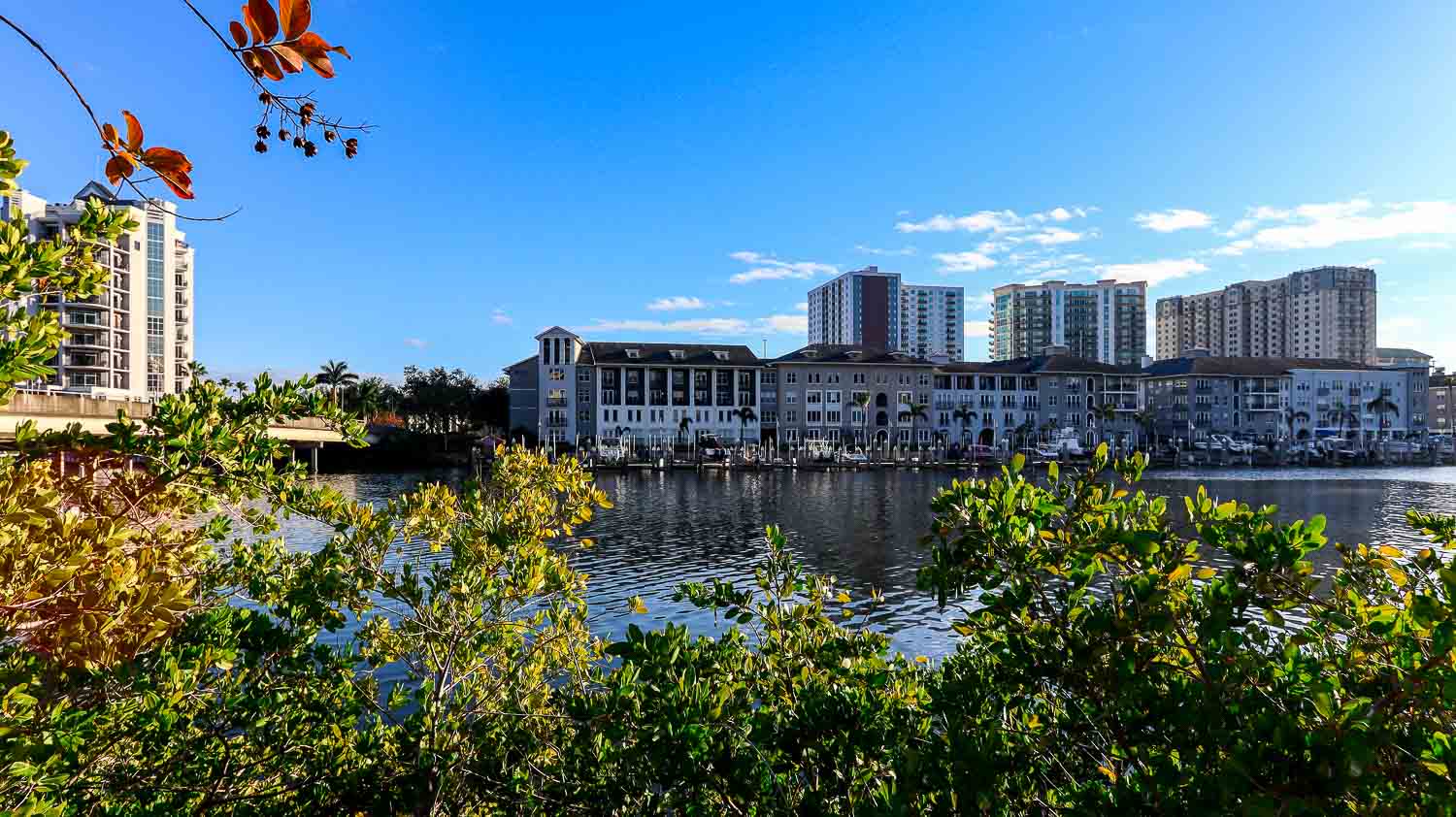 Amazing view of downtown Tampa bat