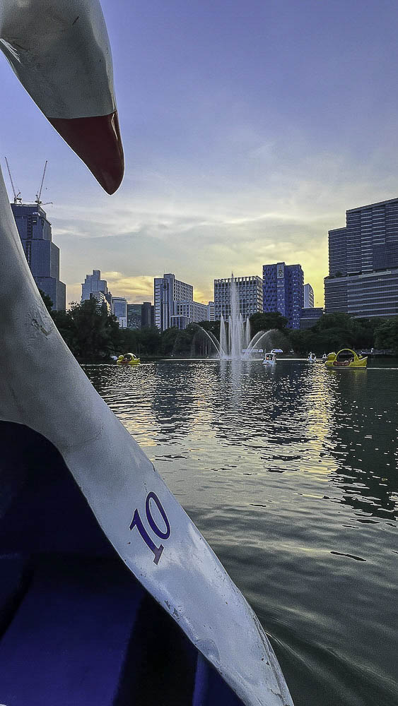 On board of swan boat in Lumphini Park Bangkok guide