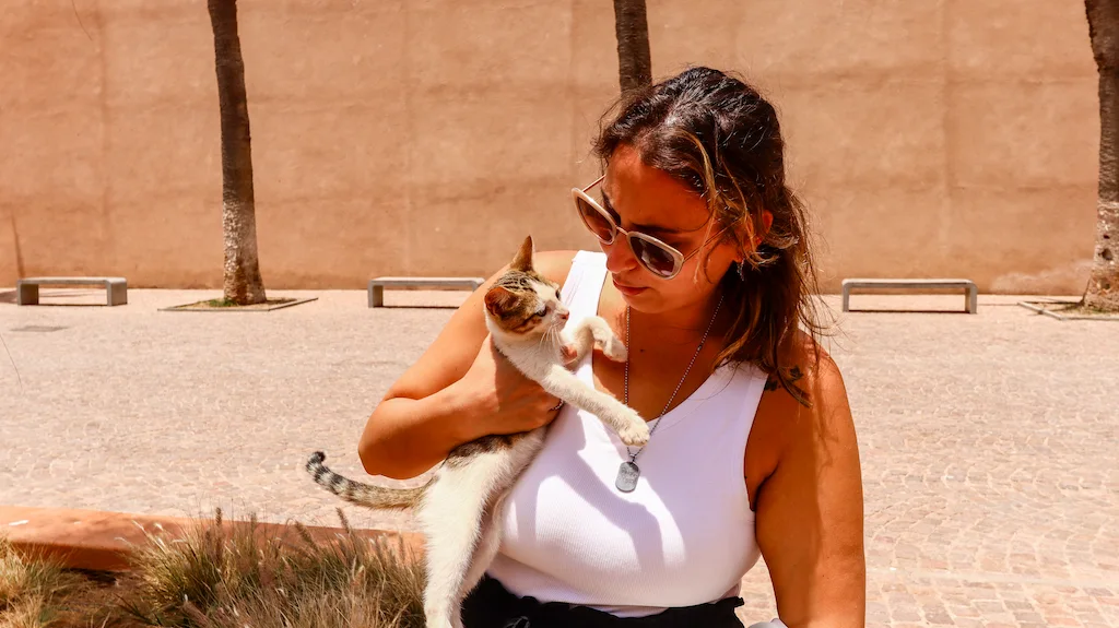 Enjoying the cats in Morocco