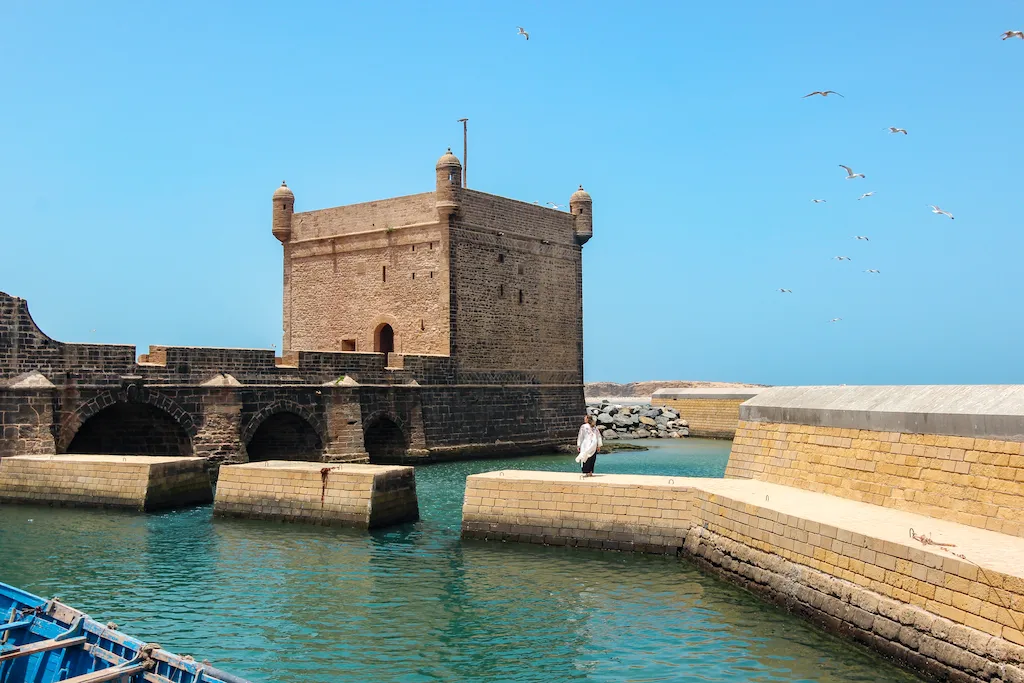 The beautiful video of Bab El Marsa - Best things to do in Essaouira