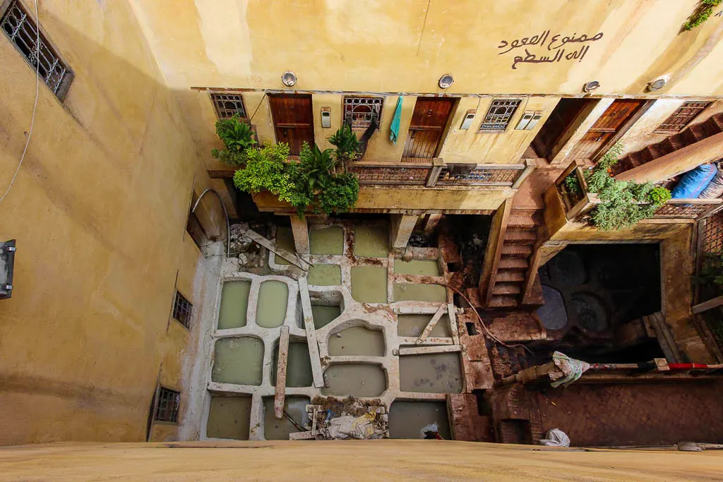 Visiting the private tanneries around Fes and the n10 shop