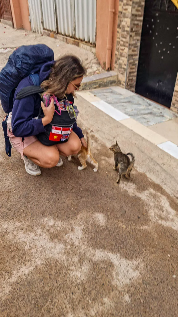 Tamraght cats Alessia petting cats everywhere in Tamraght Morocco