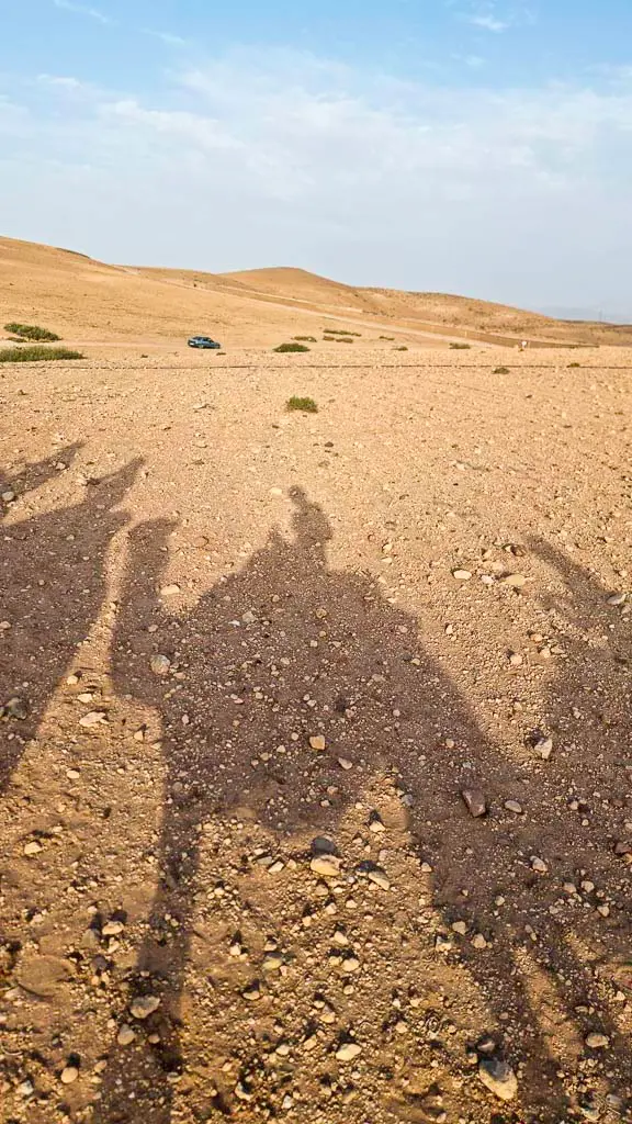 Camel ride at sunset Camel ride at sunset around Agafay desert near Marrakech