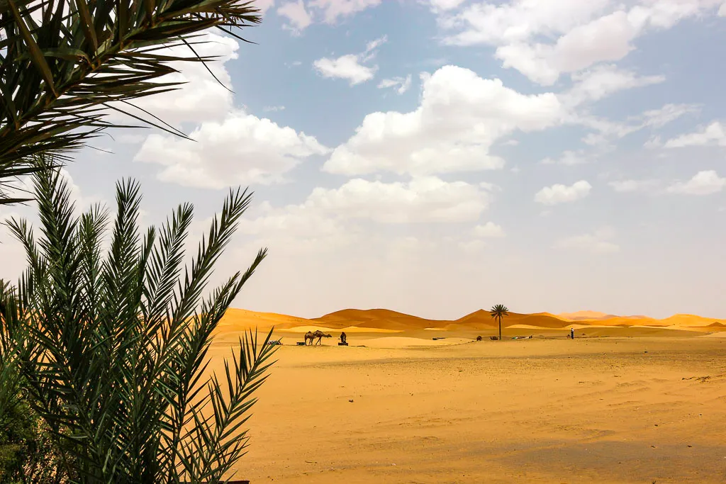 Dunes of Sahara Desert The view of Merzouga Desert