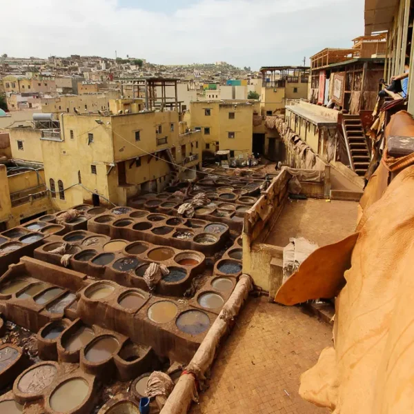 Visiting the stunning tanneries of Fes