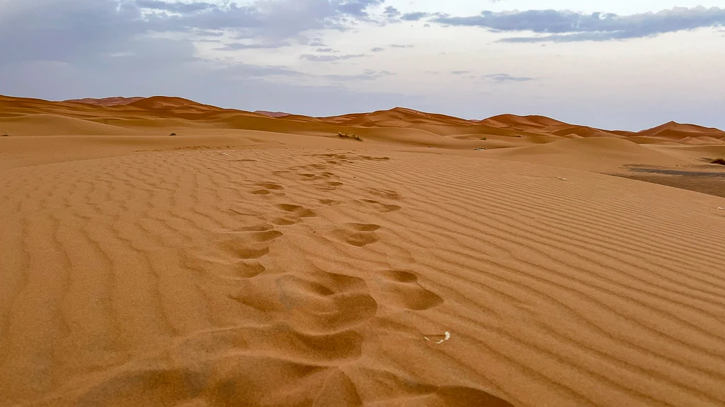 Merzouga desert sand print Walking along the dunes of Merzouga | How to do Merzouga without a tour