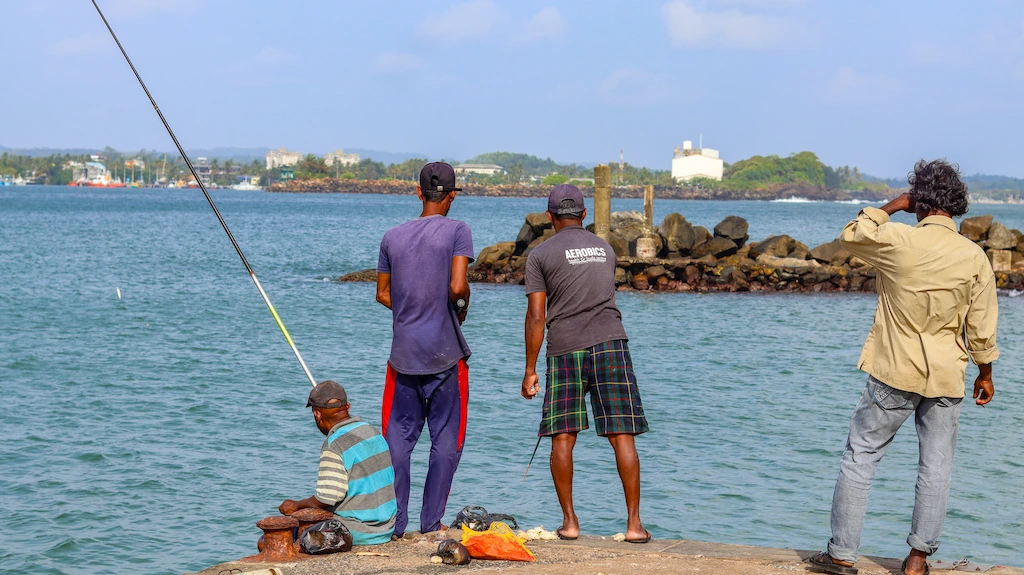 Local fisherman outside the wall of Galle grabbing their catch of the day