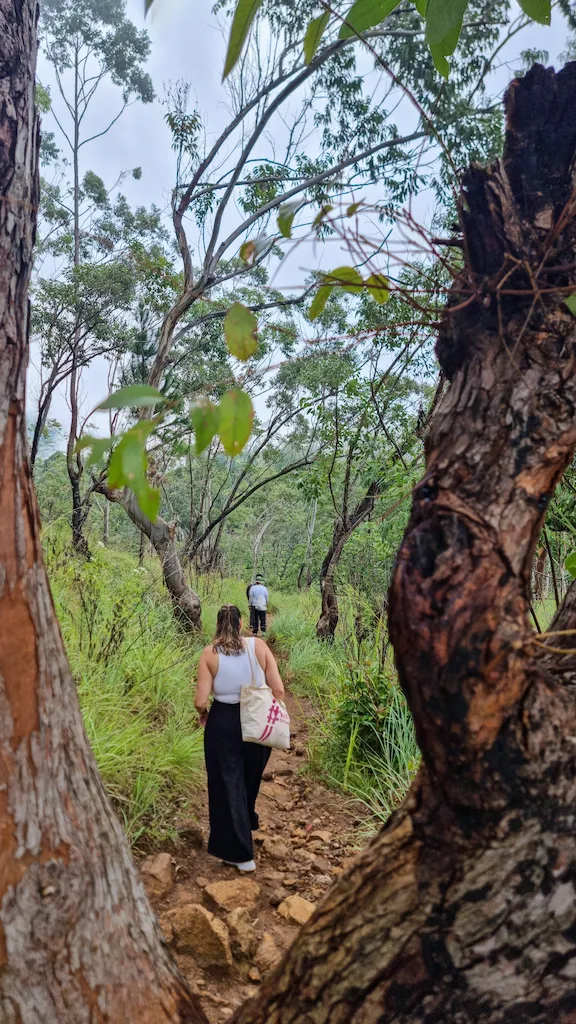 Making the way down from Ella rock hike