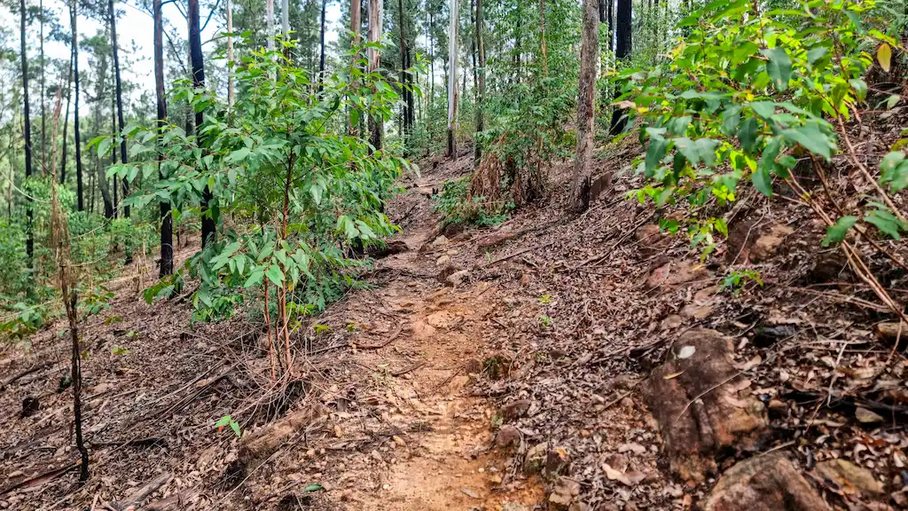 The uneven path going down from Ella rock
