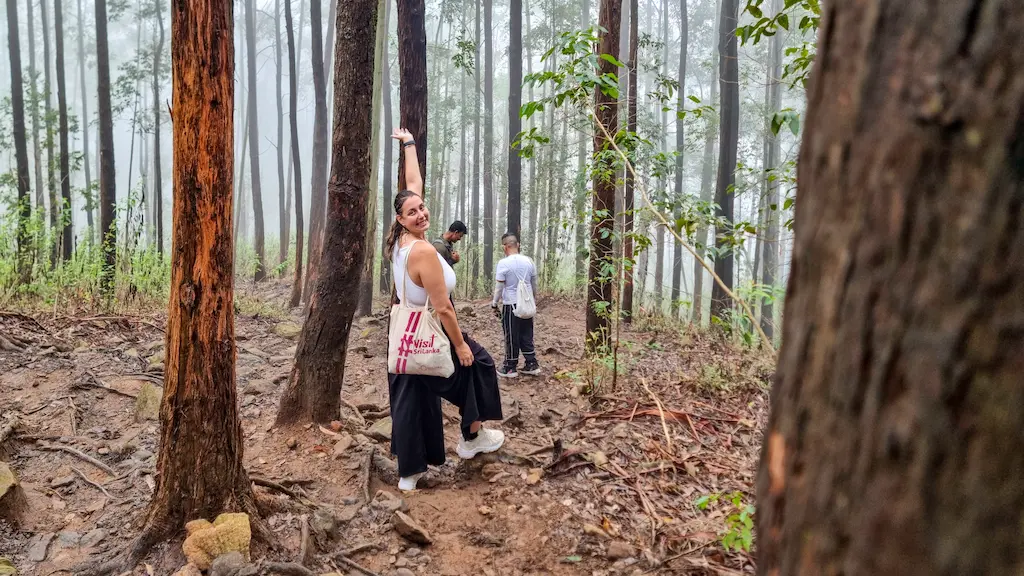 Ale hiking the Pekoe Trail Stage 15 through a foggy pine forest from Makulella to Ella Rock.