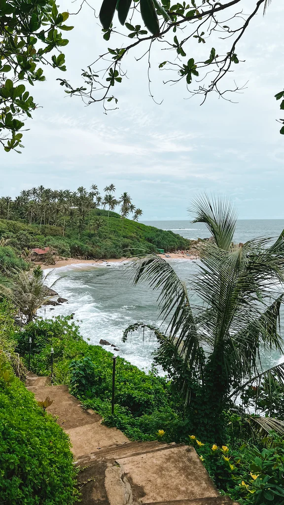 The view from Mirissa Lighthouse during one of our hikes after work