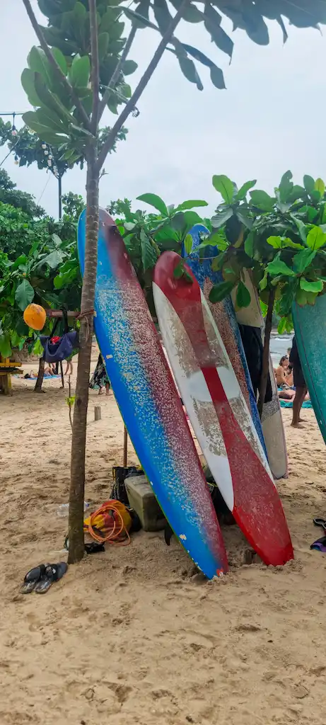 Renting a surf board at Hiriketiya Bay Beach Boards in Hiriketiya Bay there are more than 30 shops that rent surfboards even to newbies for 1500 rupies