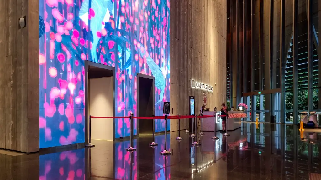 The entrance lift to the free rooftop in Singapore